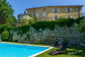 Peaceful retreat in Drome Provencale Castel